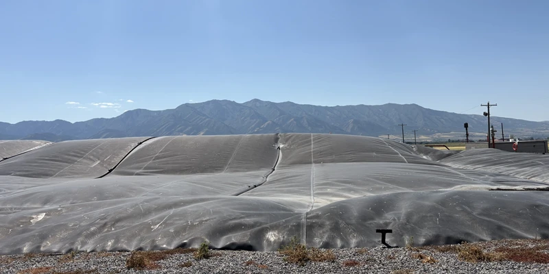 JBS USA and GreenGasUSA Partner to Transform Renewable Natural Gas Production