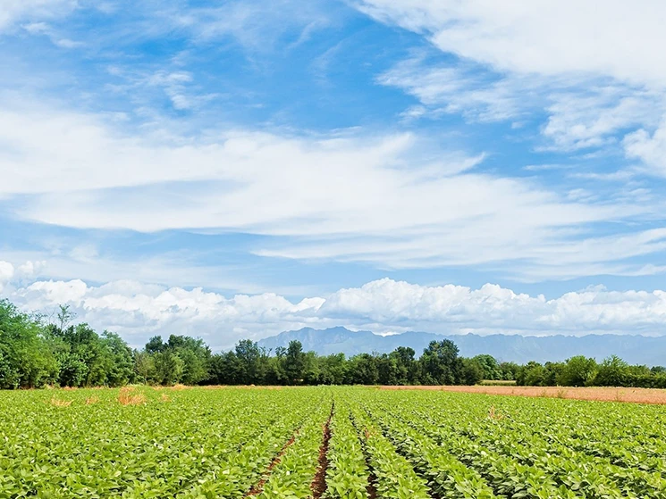 How RNG Transforms Waste Into Revenue: Benefits for Farmers & Food Processors